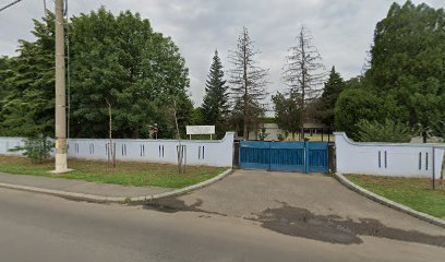 Stație ITP UNITATEA MILITARA 0260