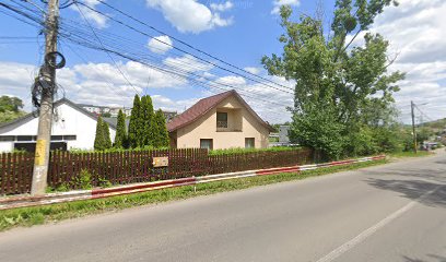 Stație ITP TODTIGER SRL