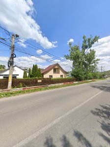 TODTIGER SRL — stație ITP