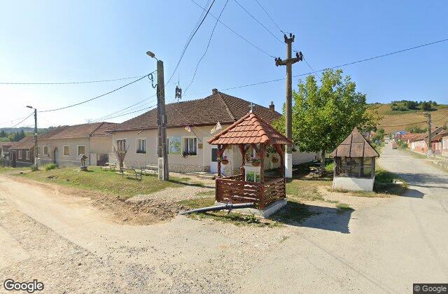 AS MURES TRANS SRL — fotografie 5