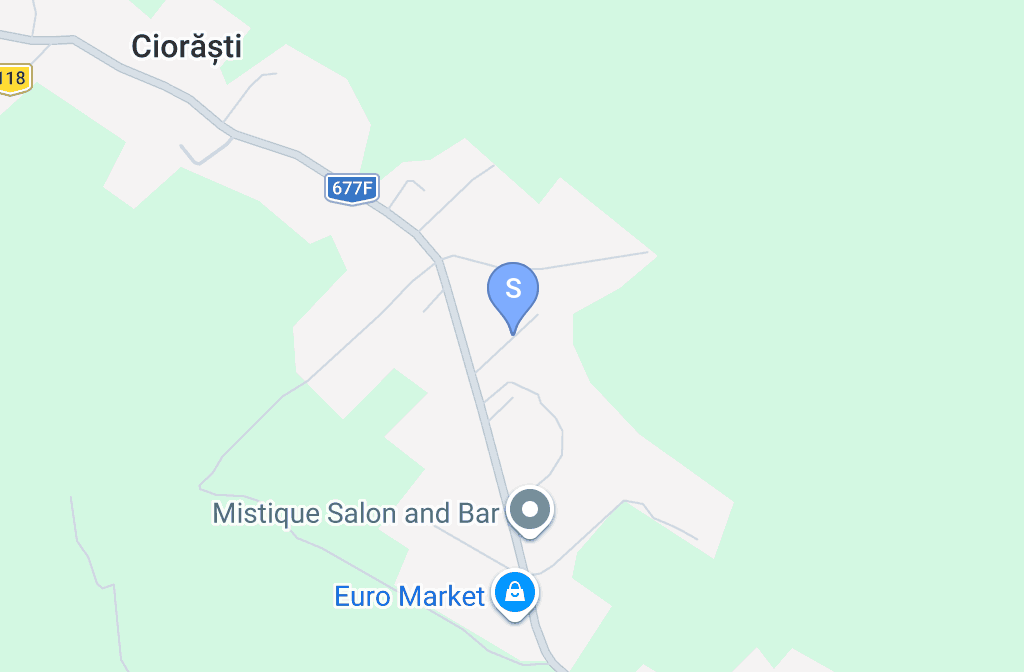 Stație ITP COZIA FOREST SA