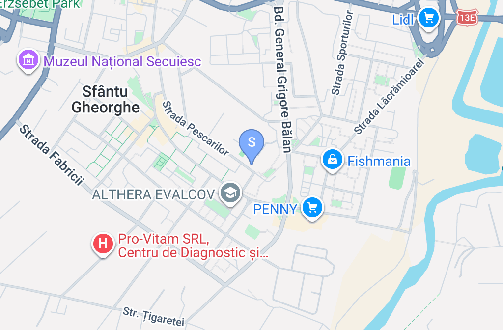 Stație ITP LICEUL TEHNOLOGIC PUSKAS TIVADAR