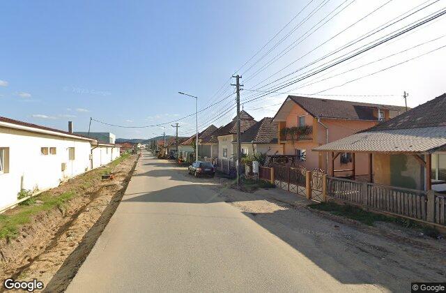 TEMES VASILE PERSOANA FIZICA AUTORIZATA — stație ITP