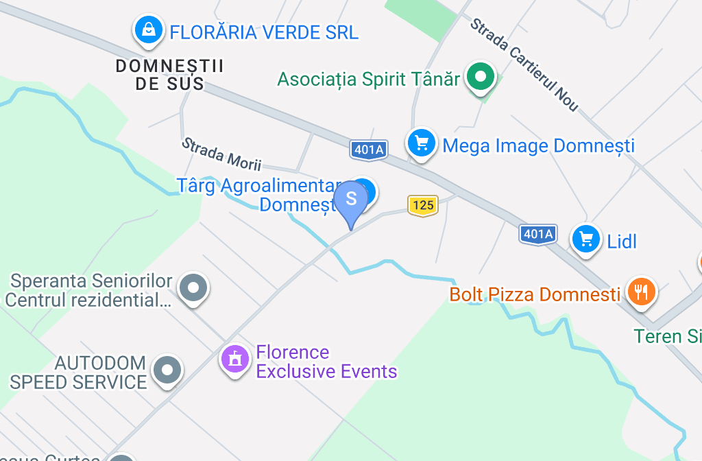 AUTODOM SPEED SERVICE SRL — fotografie 3