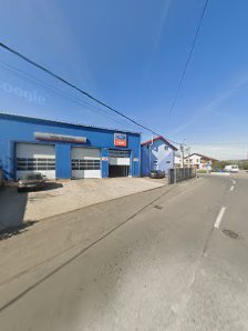 TEFIR SERVICE SRL — stație ITP