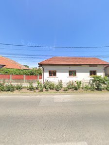SC SERVNIC SRL — stație ITP