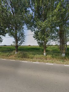 GSI 14 SERVICE SRL — stație ITP
