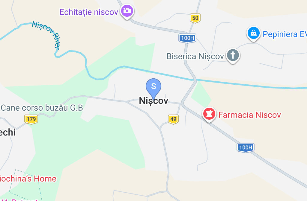 Stație ITP PIRVU COSMIN-RAZVAN PERSOANA FIZICA AUTORIZATA