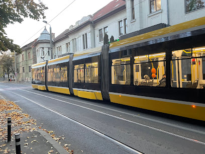 Stație ITP SOCIETATEA DE TRANSPORT PUBLIC TIMISOARA SA