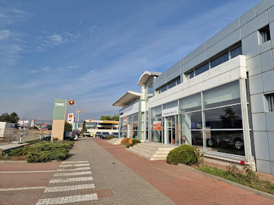 SERVICE AUTOMOBILE TURDA SA — fotografie 5