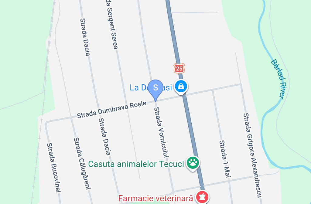Stație ITP DOWN UP PERPETUUM SRL