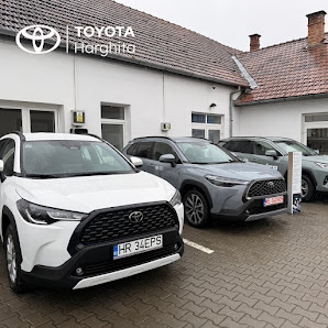 NEW-CAR TRADING SRL — fotografie 2