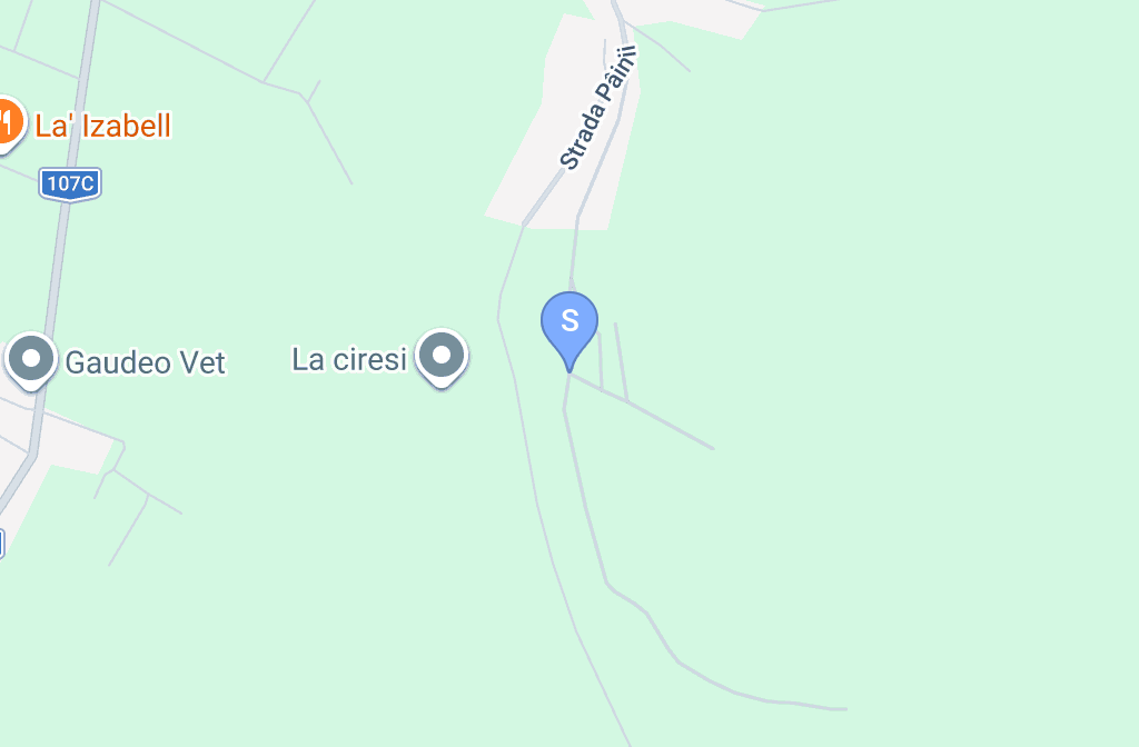 AUTO CHECK IN CEN RESOURCES SRL — fotografie 2