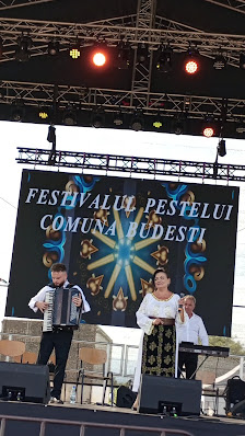 SITP BUDESTI S.R.L — fotografie 3