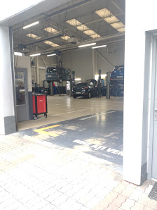 SIMPO TRANS SERVICE SRL — fotografie 2