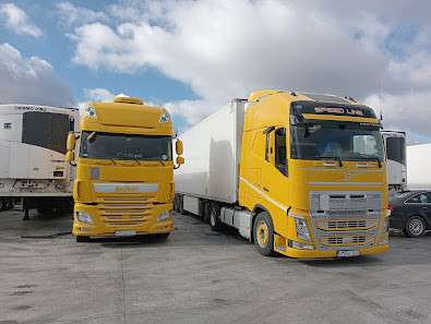 SC SPEED LINE IMPEX SRL — fotografie 2