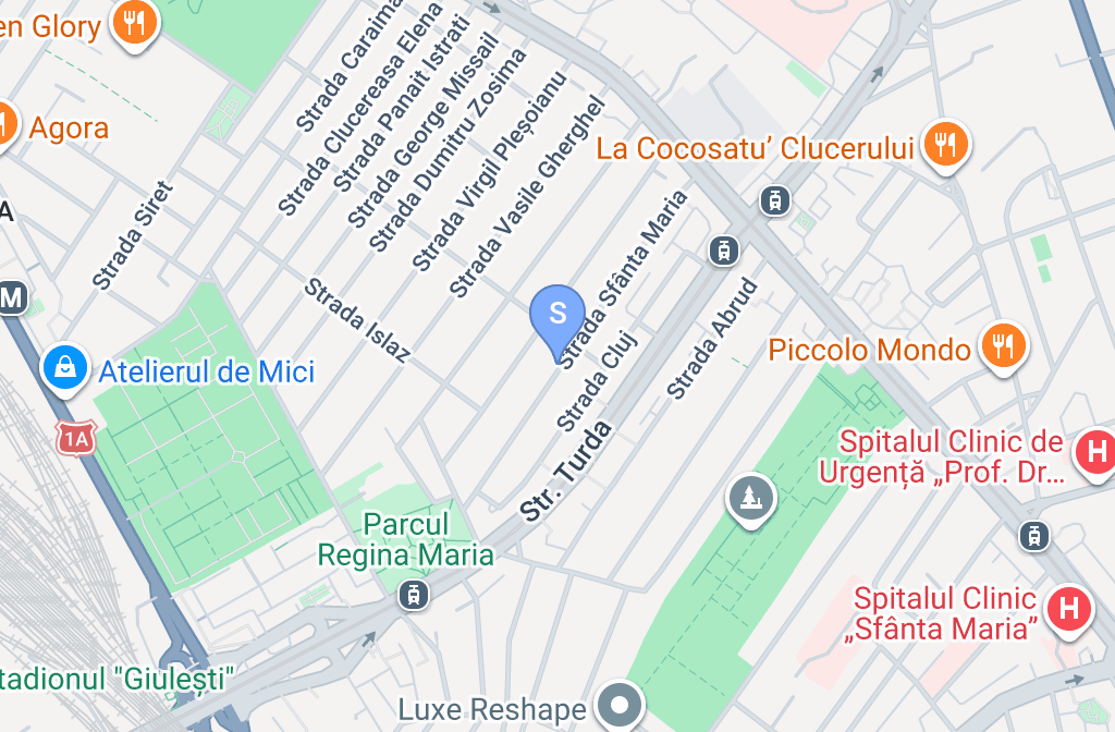 SC MONDO AUTO SOTIRESCU ALEX SRL — fotografie 3