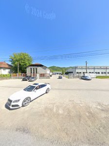 CRISBUS SA BRAD — stație ITP