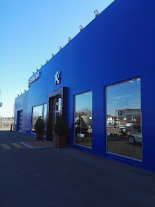 MOTOREX S.R.L. — fotografie 3