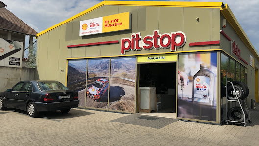 PIT-STOP MUNTENIA SRL — fotografie 2