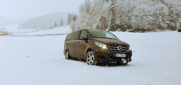 S.C PRESTARI SERVICII AUTO CAMBIO SRL — fotografie 2