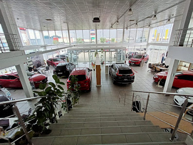 RADACINI MOTORS BRASOV SRL — fotografie 2
