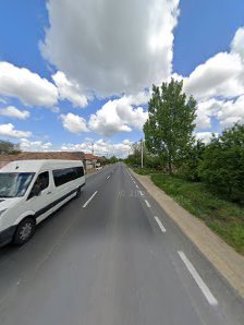 SC TRUCK SERVICE MAGLAVIT SRL — stație ITP