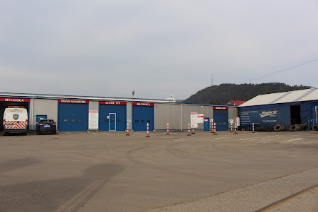 DINAMIC 92 DISTRIBUTION SRL — fotografie 2