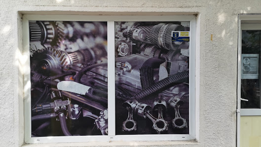 ECOM AUTO GLOBAL S.R.L. — fotografie 2