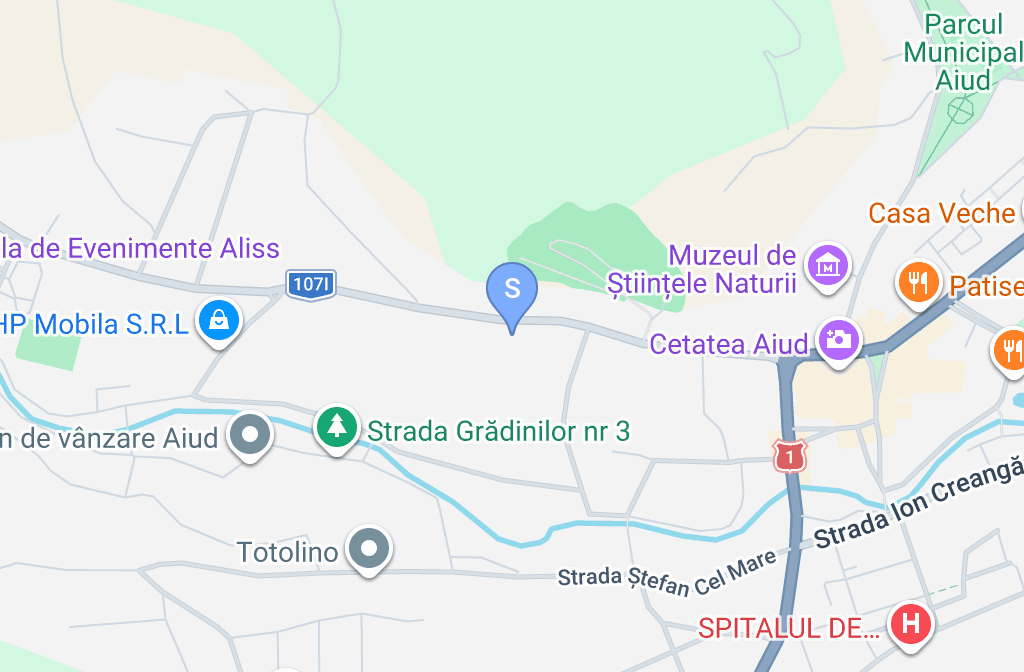 SC DEI-AUTO CENTER SRL — fotografie 3
