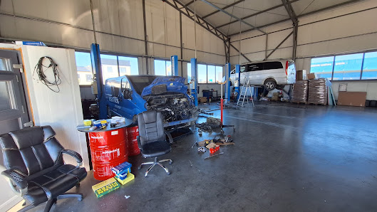 DORAVEN SERV SRL — fotografie 2