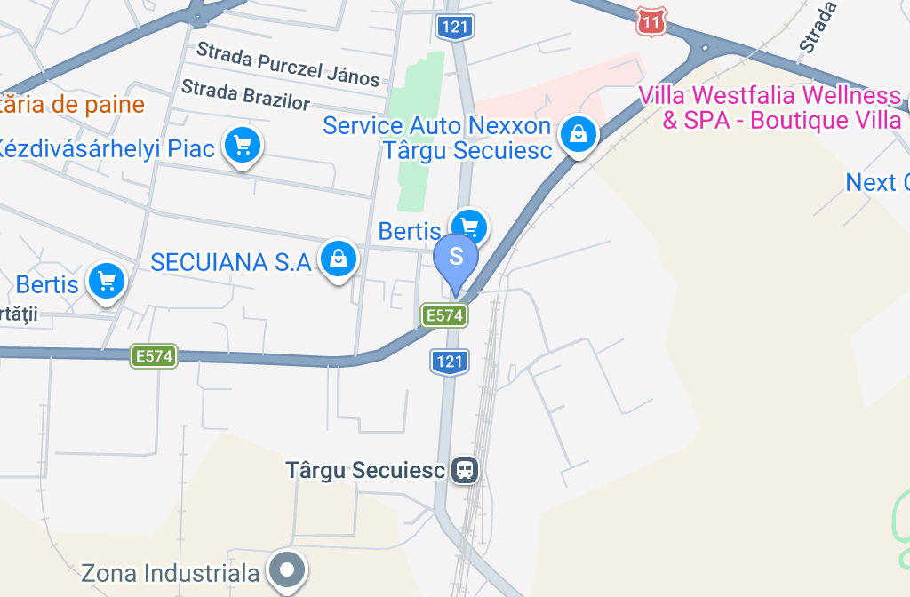 PAIZS DNS AUTO SRL — fotografie 5