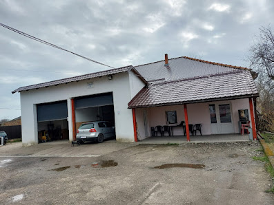 SC BODNARESCU COMPANY SRL — stație ITP