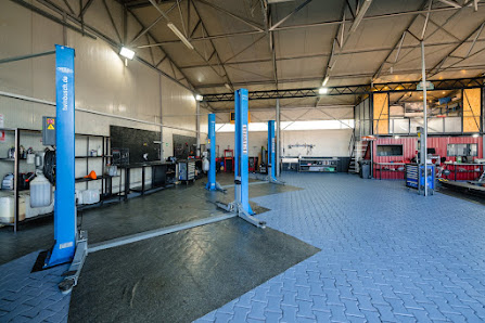 SC ADAM'S SERVICES SRL — fotografie 3