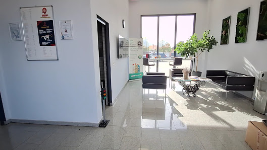 SC AUTO SERVICE PECICA SRL — fotografie 3