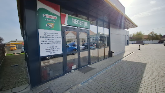 SC AUTO SERVICE PECICA SRL — fotografie 2
