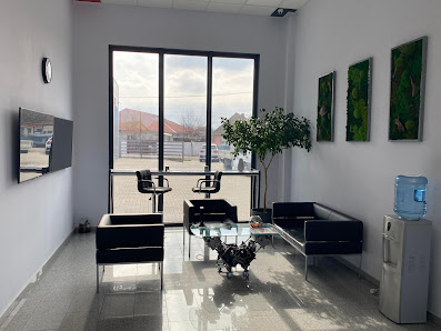SC AUTO SERVICE PECICA SRL — fotografie 4
