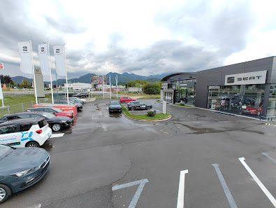DIP-MOTORS SRL — fotografie 4