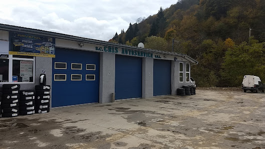 SC CRIS AUTOSERVICE SRL — stație ITP